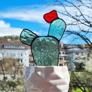 buntglas-kaktus-draussen